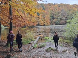 5671491741282402477021031403456728224946850n